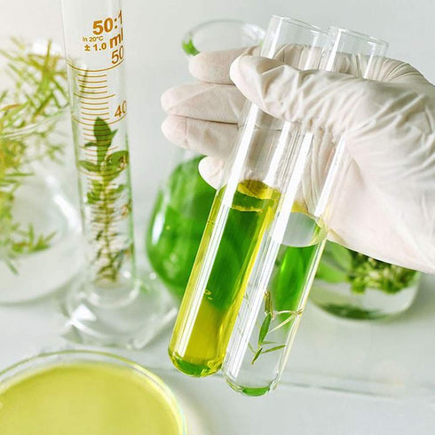 10pcs 60ml Glass Test Tubes, 25x150mm Borosilicate Glass for Scientific Experiments and Decorations