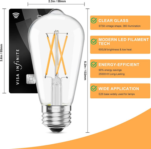 12 Pack Dimmable Bulbs 60Watt, E26 Bulbs 60 2700K, ST58 Bulb 6W 600LM MorningLight Vintage LED Edison LED Edison Watt