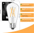 12 Pack Dimmable Bulbs 60Watt, E26 Bulbs 60 2700K, ST58 Bulb 6W 600LM MorningLight Vintage LED Edison LED Edison Watt