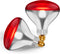 250 W att R40 Incandescent Light Bulbs (2-Pack) - Bathroom Infrared Heat