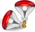 250 W att R40 Incandescent Light Bulbs (2-Pack) - Bathroom Infrared Heat