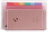BTSKY 13 Pocket Accordion File Organizer, Plastic Wallet for Cards, Coupons, Receipts, A6 Portable Folder
