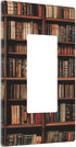 ZSUUGJ Library Bookshelf Outlet Covers Decorative Switch Wall Panel, Light Switch Cover Plate Suitable For Living Room