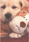 RECYCLED Paper Greetings Dog Hugging Stuffed Animal Cute Valentine's Day Card