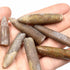 10pcs Paleontology Belemnite Specimen Science Ornament for Laboratory Supply