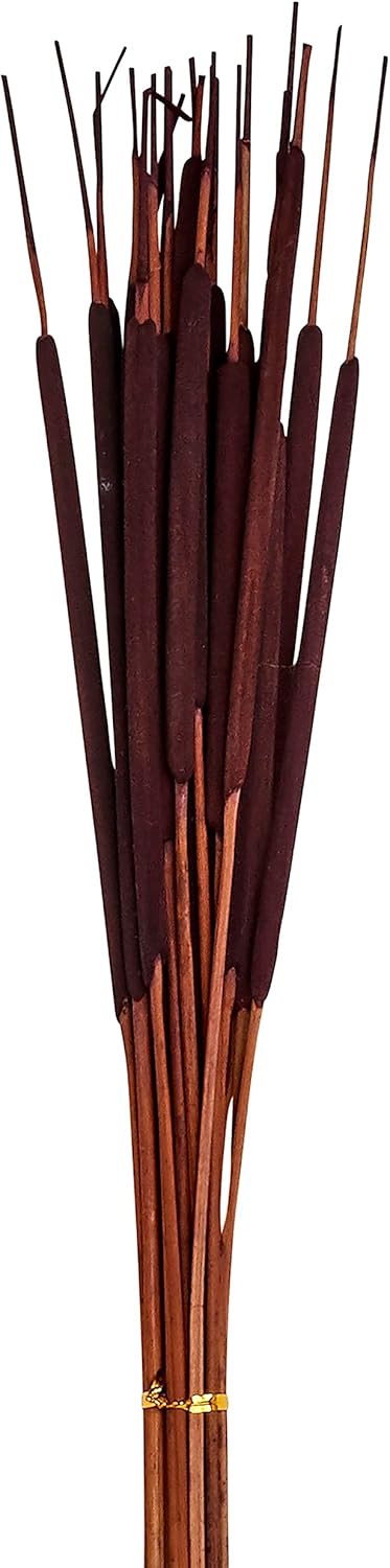 Set of 5 Natural Dried Pencil, 26", 125pcs, Dark Brown Cattail, Large Bunches