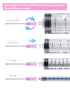 18Ga 1.5 Inch / 38mm Disposable with Cap, 100 Pack for Lab Supplies, Pet, Poultry, Industrial Accessories