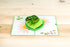 Green Frog Pop Up Card, Blank Frog Card with Envelope for Birthday, Kids Gift, Thank You, Get Well Soon