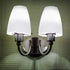 4.52X3.93X1.96In 2-Pack DOITOOL Plastic Lamp Shade Replacement Frosted Lampshade for Desk Lamp Table Bedside Lighting
