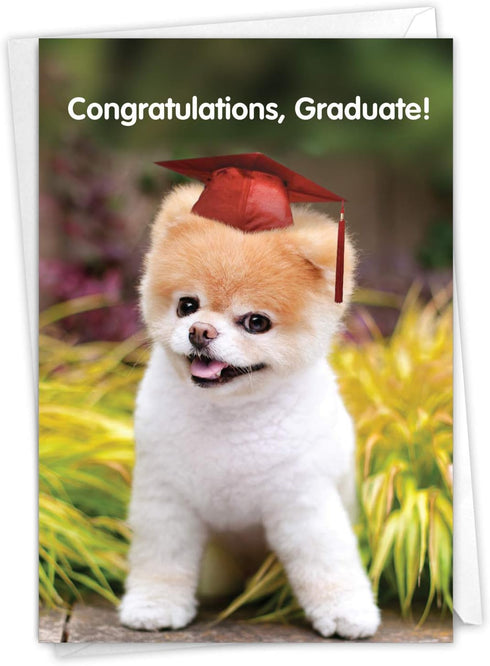The Best Card Company Graduation Greeting Card with Envelope - Congratulations Graduate Notecard, School, College