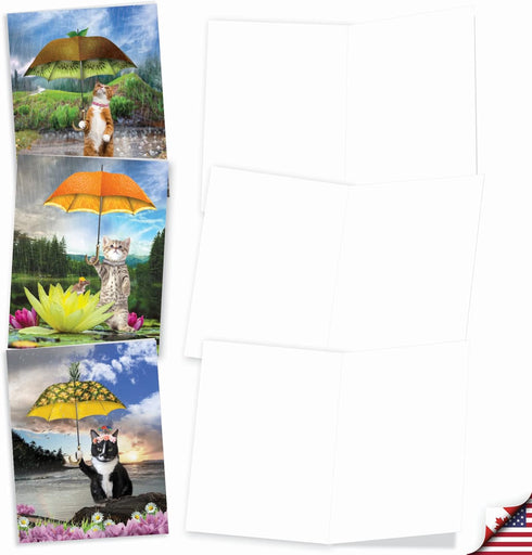 The Best Card Company - 10 All Occasion Blank Cat Cards (4 x 5.12 Inch) Cute Assorted Bulk Set