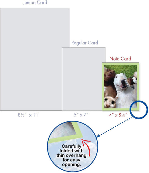 The Best Card Company - 20 Blank Note Cards with Envelopes (4 x 5.12 Inch) - Animal Card Assortment (10 Designs, 2 Each)