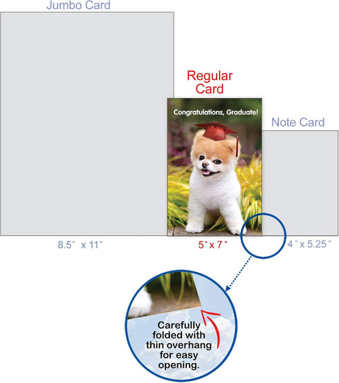 The Best Card Company Graduation Greeting Card with Envelope - Congratulations Graduate Notecard, School, College