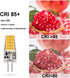 10 Pack G4 LED Bulb 3W, 12V, 20W G4 Halogen Equivalent, Warm White 3000K, JC G4 Bi-Pin Base, Not Dimmable