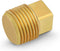CSTQ0018 1/8-Inch Male National Taper Threads Solid Plug, Lead-Free Brass Pipe Fitting, 25