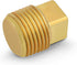 CSTQ0018 1/8-Inch Male National Taper Threads Solid Plug, Lead-Free Brass Pipe Fitting, 25