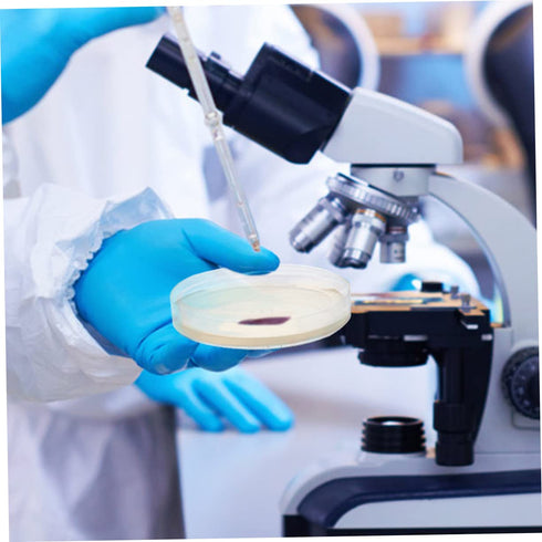 40 Gatuida Pcs Nutrient Agar Plate Tool Kit Petri Dish with Lid Agar Agar Powder Science Fair Projects Tool Potato Agar