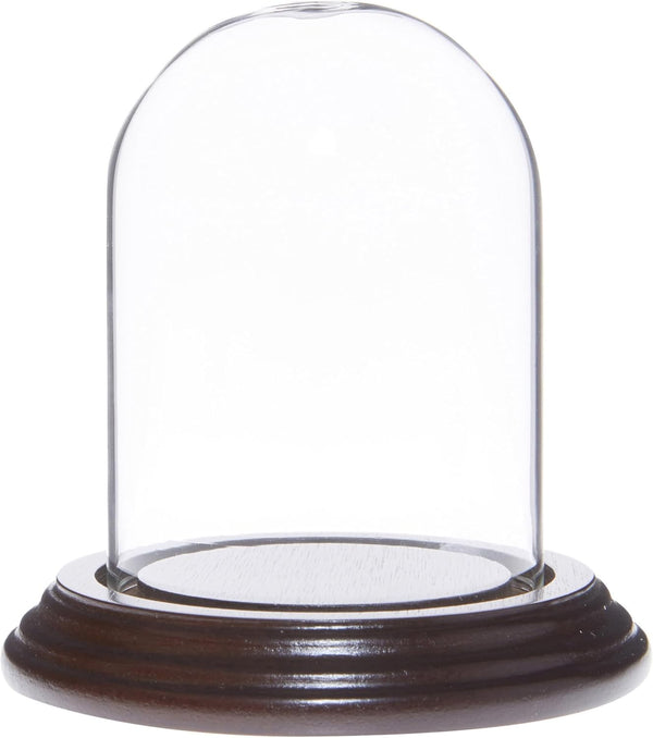Plymor Small Glass Display Dome Cloche 2.5" x 3.5" (Dark Mahogany Veneer Base)