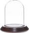 Plymor Small Glass Display Dome Cloche 2.5" x 3.5" (Dark Mahogany Veneer Base)