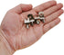 JunLiWei 50 5mm (1/5 inch) Closet Shelf Support Pegs, Pcs Shelf Pegs with Hole, Cabinet Shelf Bracket Pegs, L-Shaped
