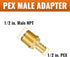 SUNGATOR 1/2 Inch Pex Fittings, 10-Pack Male Adapter, No Lead Brass, NSF, UPC Certified for Pex Pipe