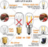 Yi Lighting T22 T7 1W LED Night Light Bulbs, E12 Base, 150lm, 15W Equivalent, Himalayan Salt Lamp Bulb, 2