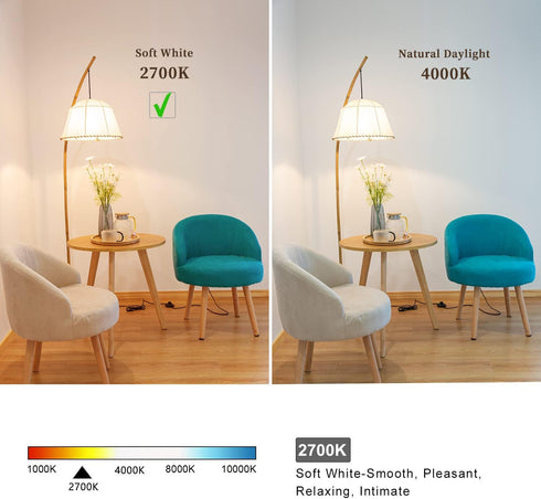 2 Pack G40/G125 Globe LED Bulb, Warm White 2700K Dimmable, 5W Equivalent 40W LED Globe Light Bulbs, E26 Base