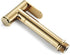 YHWKZCTTT HandheldSprayer Titanium Gold Cloth Diaper Sprayer BrassSprayer for Toilet Kit Shower for Pet, Bathroom