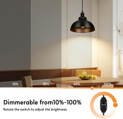 Dimmable Dimmer LG9925343 Lightess Black Pendant Lights with Plug in Cord and ON/Off Switch, Industrial Hanging Kitchen