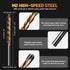 1/8 Inch Bits,50 Hss Drywall Router PCS Drywall Cutting Bit,Guide Point Brocas para Drywall for Use with Spiral Saws