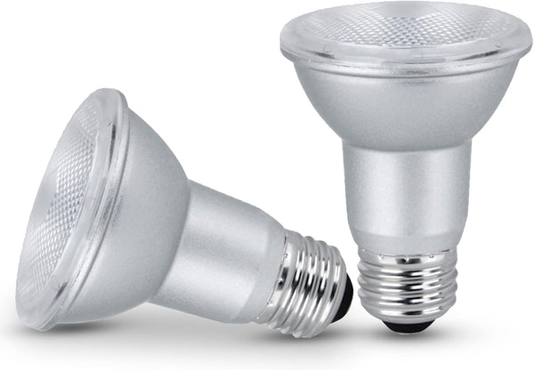 Xtricity LED Light Bulb PAR20 Dimmable Flood 7 Watt 50W Equivalent 500 Lumens 5000K Daylight 2 Pack