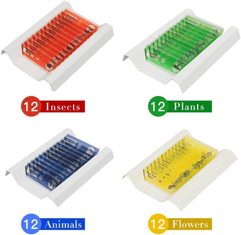 48 Set Prepared Microscope Slides of Animals Insects Plants Flowers, Biological Learning Resource Specimens for Kids