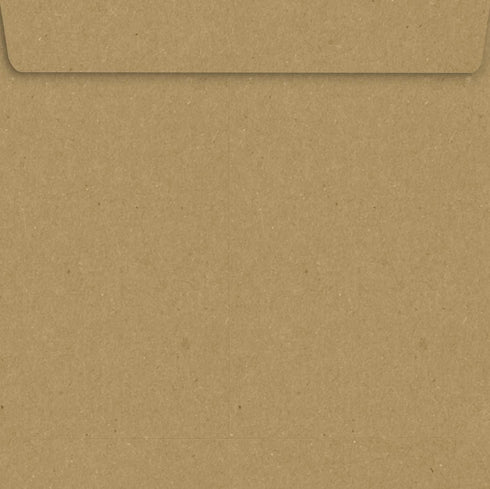 LUXPaper Square Invitation Envelopes, Peel & Press, 9" x 9", Grocery Bag Brown, 50 Qty