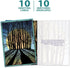Tree-Free Greetings Solstice Cards and Envelopes, Set of 10, 5 x 7", Winter Solstice