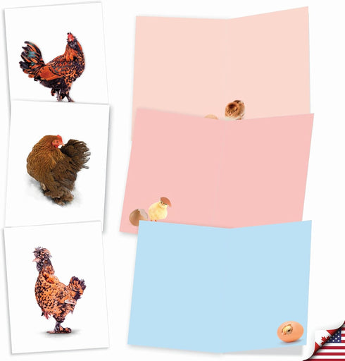The Best Card Company - 20 Blank Birds Notes with Envelopes - All Occasion Chicken Assortment (10 Designs)