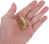 Vintage Solid Brass Nautilus Knobs - Elegant Cabinet Handles