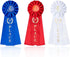 Award Ribbons Rosette Ribbon - 1st, 2nd, 3rd Place for Classroom Prizes, Sports Events, Blue Red White (3 Pieces)