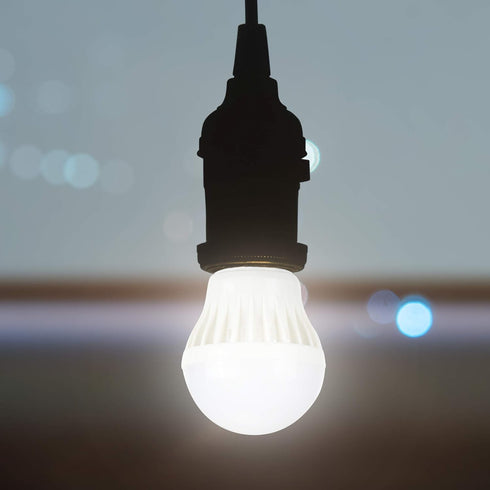 5V 6V Screw Medium Base LED Light Bulb for 5 Volt 6 Volt Battery Power Source, Warm White 3000K, Low Voltage Miniature