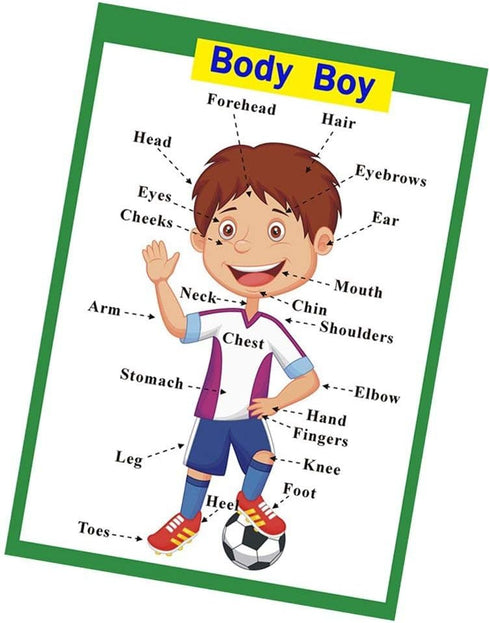 SANTSUN Educational Preschool Posters, Educational Wall Charts, Classroom Organization for Kindergarten, 42x60cm