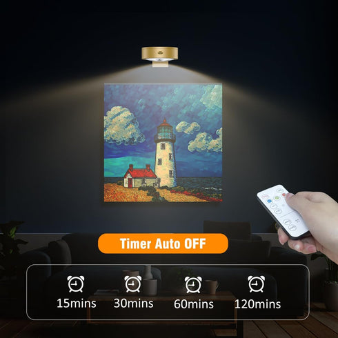 Xuolder 3Pack Control,Dimmable&Timer Picture Light Battery Operated Painting Lights for Wall Wireless Magnetic Display