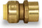 Everflow Supplies UPFC12 1/2 Inch Long Push X Female Adapter for Push-Fit Fittings, No Lead DZR Forged Brass