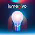 JDE11 120V 75W Bulb T4 Bulbs E11 10 Pack lumenivo Halogen Light Halogen Decorative, Cabinet, Ceiling, Chandelier