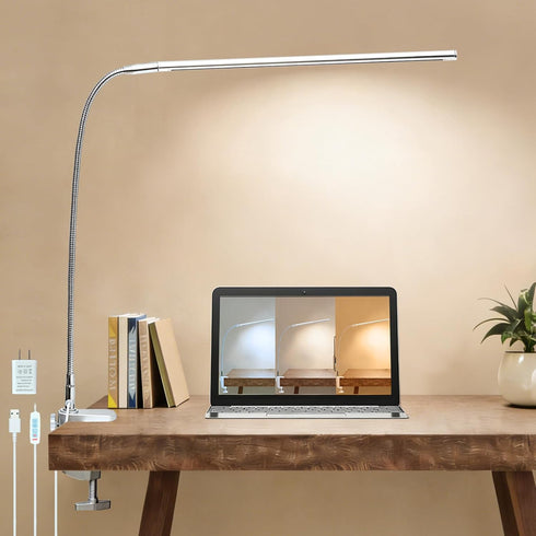 Space Aluminum LED Desk Lamp with Clamp, Clip on Light for Reading