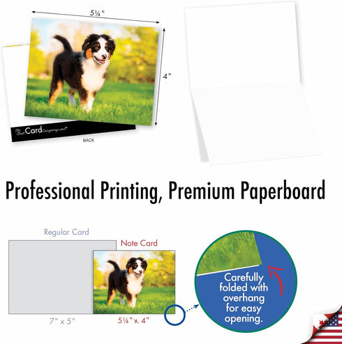 The Best Card Company - 10 Adorable Blank Dog Cards, Assorted Pet Breeds, Boxed Set, 4 x 5.12 Inch, Awesome Australian