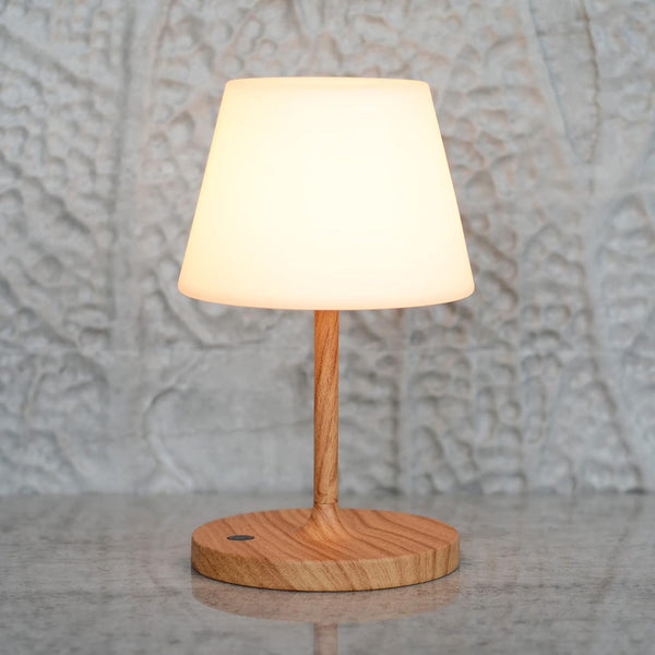 LOTITOL Outdoor Table Lamp/Cordless USB Rechargeable 4000mAh / 2700K LED/Touch Dimmable/Portable Battery Operated