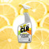 (22 Pack 2) CLR Everyday Clean Tough Multi Purpose Cleaner, Fights Dirt and Grime | Works on a Variety of Household