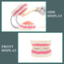 6 RONTEN Dental Teeth Care Model-Mouth Model for Speech Therapy, Enlarged Times Standard Size, for Both Dental