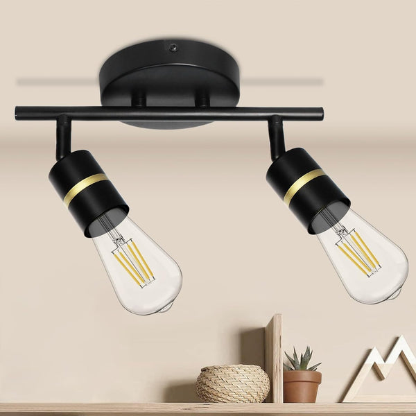 HiBay 2-Light Track Lighting, Rotatable Ceiling or Wall Light Fixture, Modern Black