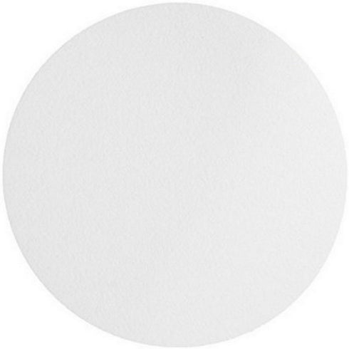 Omicron 131047 Borosilicate Glass Fiber Binder Free Filter, 1.0 Micron, 47mm, 100/Pk