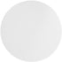 Omicron 131047 Borosilicate Glass Fiber Binder Free Filter, 1.0 Micron, 47mm, 100/Pk